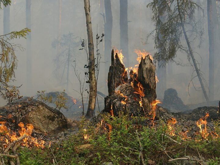 Spalona stodoła i niebezpieczny wypadek w okolicy Gorzowa