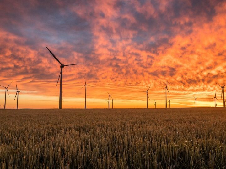 Grupa PGE postanowiła kupić farmę wiatrową pod Grudziądzem, jednak to nie koniec ich inwestycji