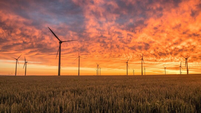 Grupa PGE postanowiła kupić farmę wiatrową pod Grudziądzem, jednak to nie koniec ich inwestycji
