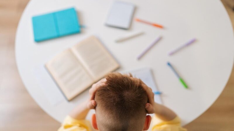 Gmina Rogóźno wzbogaci się o nowoczesny sprzęt komputerowy dla szkół dzięki wsparciu finansowemu!