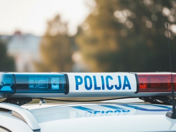 Policjanci z Grudziądza ratują łabędzia na autostradzie