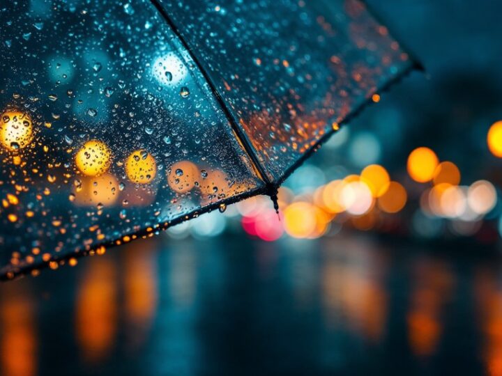 Przymrozki i marznące mgły: co nas czeka w najbliższych dniach