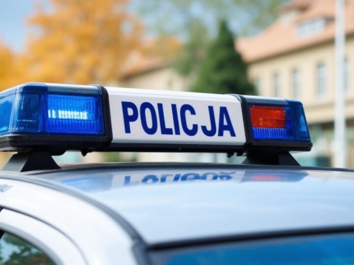 Kryminalni rozbili siatkę narkotykową: 37-latek z 30 kg nielegalnych substancji w rękach policji
