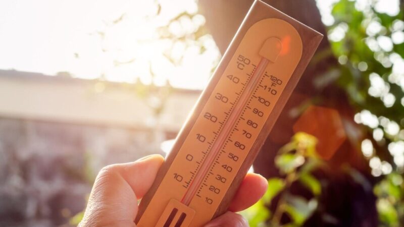 Seniorzy cieszą się słońcem w urokliwej Łebie