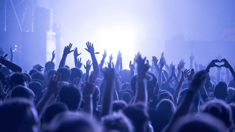 Radzyński Koncert Organowy – niezapomniane muzyczne przeżycie!
